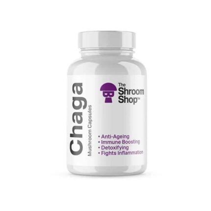 chaga mushroom