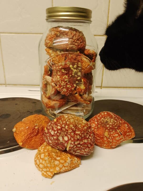 Image #1 from Anna Cooper