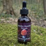 1:4 Amanita Muscaria tincture extracted and fully decarbed. - Image 2