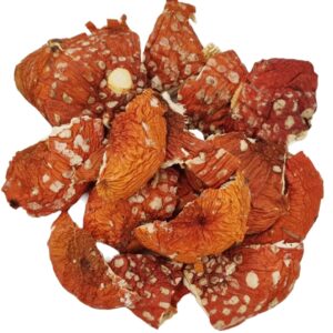 muscaria