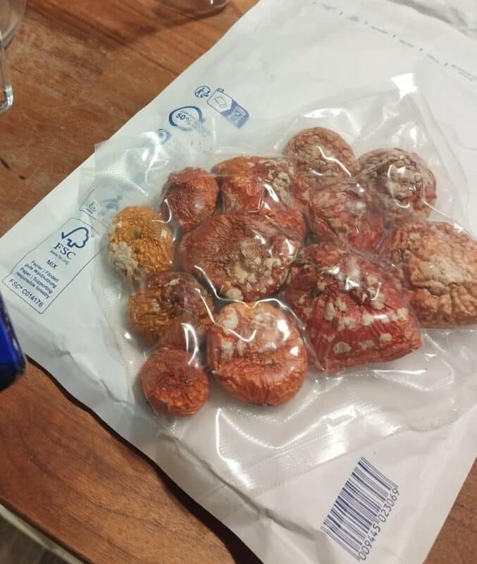 Image #2 from Marcus Horton