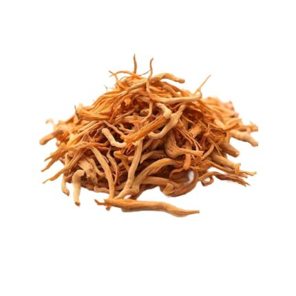 Pure Cordyceps Militaris
