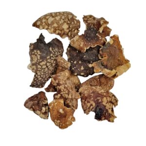 Wild Chaga Mushroom