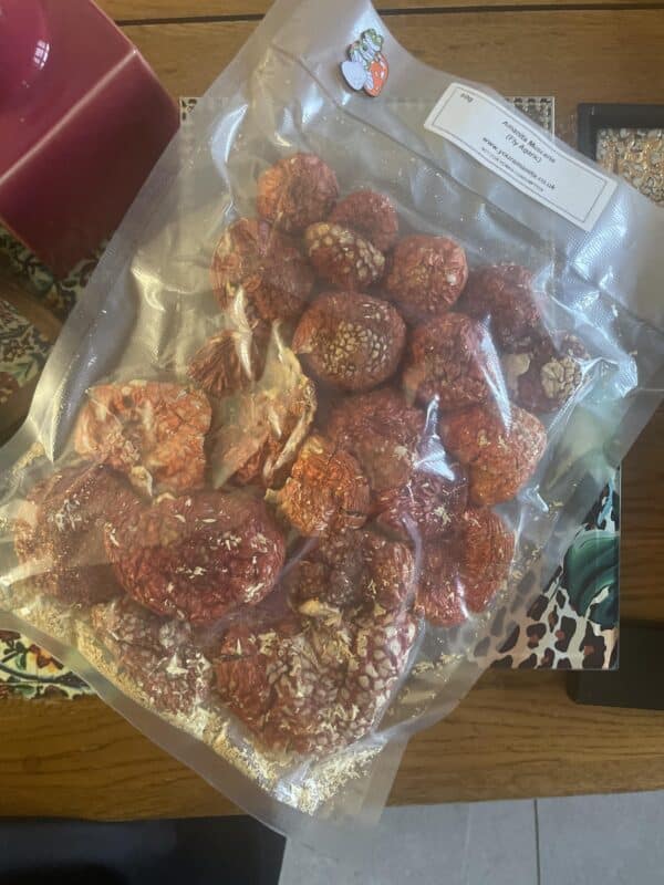 Image #1 from Mojdeh Asefi