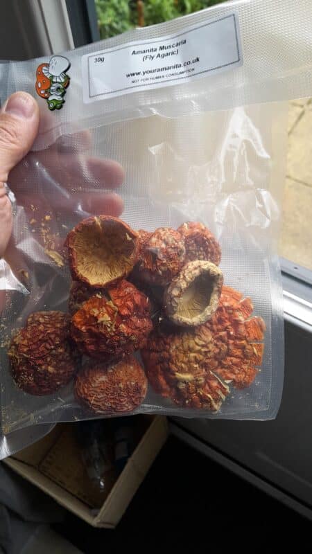 Image #1 from Hubert Wilk