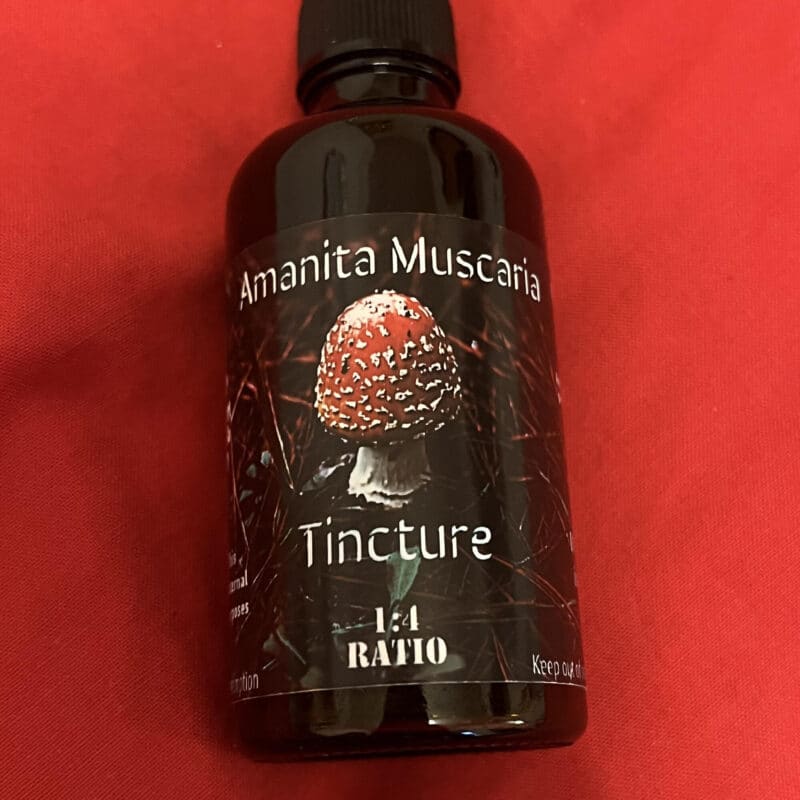 Image #1 from Morgan Johnston